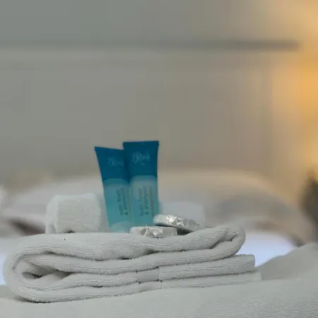 Maison Metropole Dante * تورينو